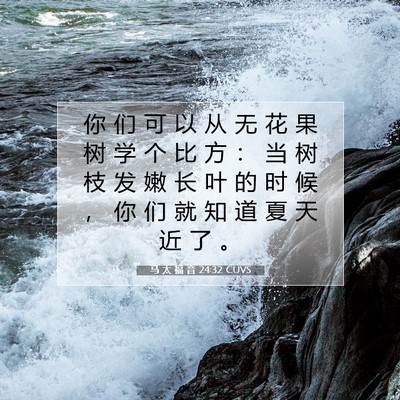 Picture 07 - 马 太 福 音 24:32 CUVS - 你 们 可 以 从 无 花 果 树 学 个 比 - Bible Verse Picture