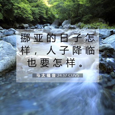 Picture 07 - 马 太 福 音 24:37 CUVS - 挪 亚 的 日 子 怎 样 ， 人 子 降 临 - Bible Verse Picture