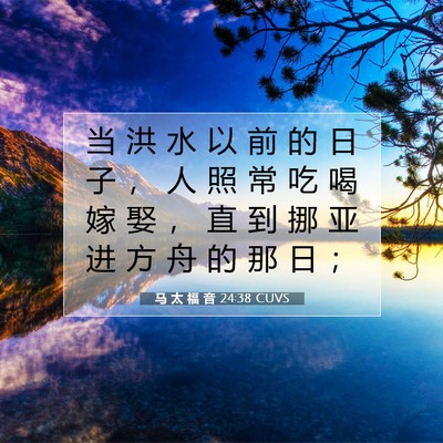 Picture 07 - 马 太 福 音 24:38 CUVS - 当 洪 水 以 前 的 日 子 ， 人 照 常 - Bible Verse Picture