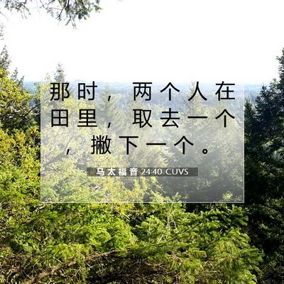 Picture 07 - 马 太 福 音 24:40 CUVS - 那 时 ， 两 个 人 在 田 里 ， 取 去 - Bible Verse Picture