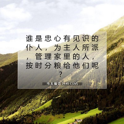 Picture 07 - 马 太 福 音 24:45 CUVS - 谁 是 忠 心 有 见 识 的 仆 人 ， 为 - Bible Verse Picture