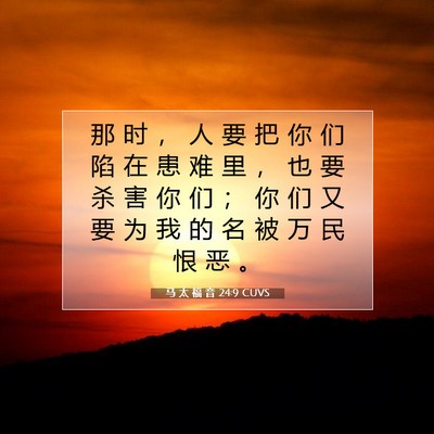 Picture 07 - 马 太 福 音 24:9 CUVS - 那 时 ， 人 要 把 你 们 陷 在 患 难 - Bible Verse Picture