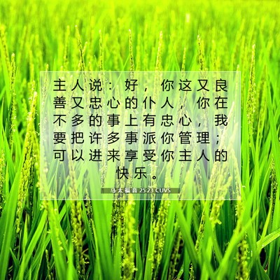 Picture 07 - 马 太 福 音 25:23 CUVS - 主 人 说 ： 好 ， 你 这 又 良 善 又 - Bible Verse Picture
