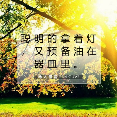 Picture 07 - 马 太 福 音 25:4 CUVS - 聪 明 的 拿 着 灯 ， 又 预 备 油 在 - Bible Verse Picture