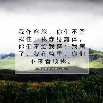 Picture 07 - 马 太 福 音 25:43 CUVS - 我 作 客 旅 ， 你 们 不 留 我 住 ； - Bible Verse Picture