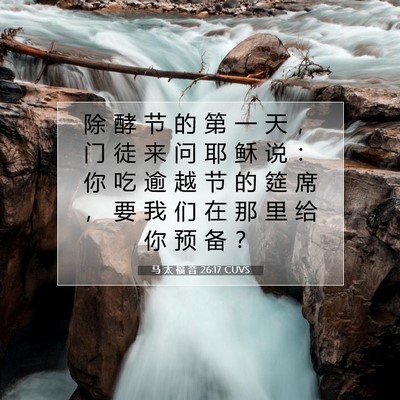 Picture 07 - 马 太 福 音 26:17 CUVS - 除 酵 节 的 第 一 天 ， 门 徒 来 问 - Bible Verse Picture