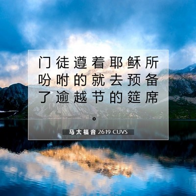 Picture 07 - 马 太 福 音 26:19 CUVS - 门 徒 遵 着 耶 稣 所 吩 咐 的 就 去 - Bible Verse Picture