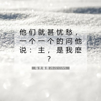 Picture 07 - 马 太 福 音 26:22 CUVS - 他 们 就 甚 忧 愁 ， 一 个 一 个 的 - Bible Verse Picture