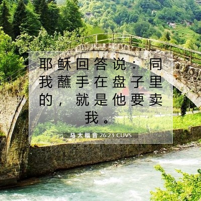 Picture 07 - 马 太 福 音 26:23 CUVS - 耶 稣 回 答 说 ： 同 我 蘸 手 在 盘 - Bible Verse Picture