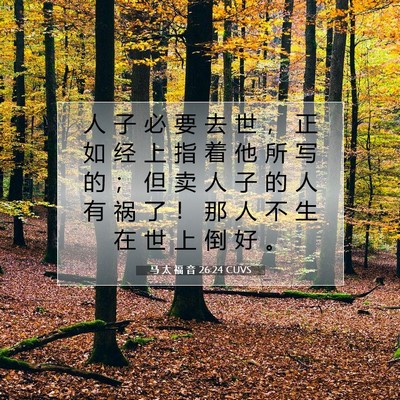 Picture 07 - 马 太 福 音 26:24 CUVS - 人 子 必 要 去 世 ， 正 如 经 上 指 - Bible Verse Picture