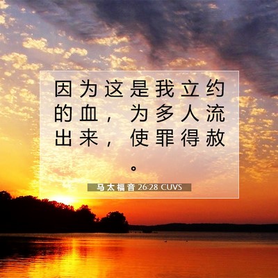 Picture 07 - 马 太 福 音 26:28 CUVS - 因 为 这 是 我 立 约 的 血 ， 为 多 - Bible Verse Picture