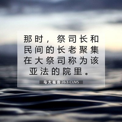 Picture 07 - 马 太 福 音 26:3 CUVS - 那 时 ， 祭 司 长 和 民 间 的 长 老 - Bible Verse Picture
