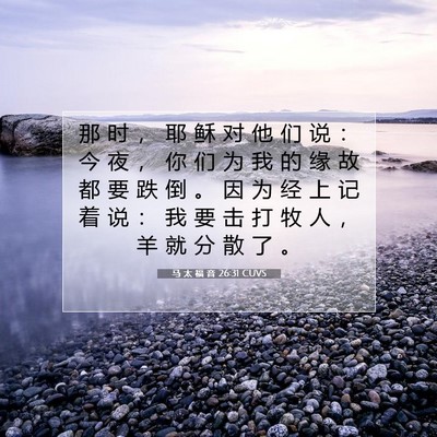 Picture 07 - 马 太 福 音 26:31 CUVS - 那 时 ， 耶 稣 对 他 们 说 ： 今 夜 - Bible Verse Picture