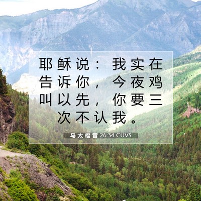 Picture 07 - 马 太 福 音 26:34 CUVS - 耶 稣 说 ： 我 实 在 告 诉 你 ， 今 - Bible Verse Picture