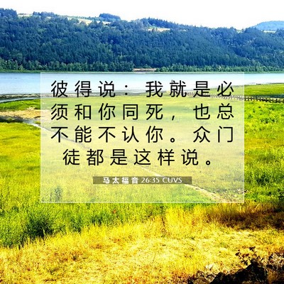 Picture 07 - 马 太 福 音 26:35 CUVS - 彼 得 说 ： 我 就 是 必 须 和 你 同 - Bible Verse Picture