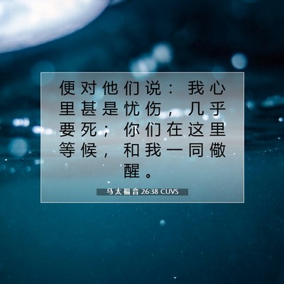 Picture 07 - 马 太 福 音 26:38 CUVS - 便 对 他 们 说 ： 我 心 里 甚 是 忧 - Bible Verse Picture