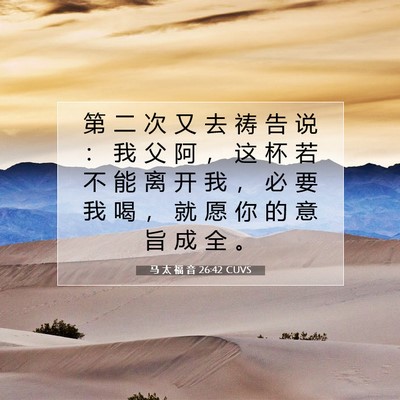 Picture 07 - 马 太 福 音 26:42 CUVS - 第 二 次 又 去 祷 告 说 ： 我 父 阿 - Bible Verse Picture