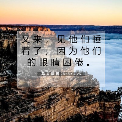 Picture 07 - 马 太 福 音 26:43 CUVS - 又 来 ， 见 他 们 睡 着 了 ， 因 为 - Bible Verse Picture