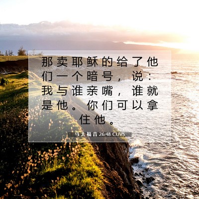 Picture 07 - 马 太 福 音 26:48 CUVS - 那 卖 耶 稣 的 给 了 他 们 一 个 暗 - Bible Verse Picture