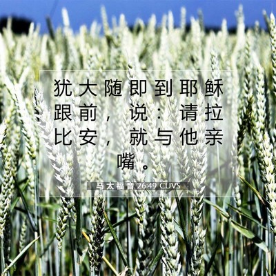 Picture 07 - 马 太 福 音 26:49 CUVS - 犹 大 随 即 到 耶 稣 跟 前 ， 说 ： - Bible Verse Picture