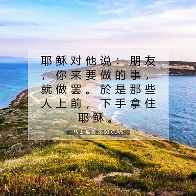 Picture 07 - 马 太 福 音 26:50 CUVS - 耶 稣 对 他 说 ： 朋 友 ， 你 来 要 - Bible Verse Picture