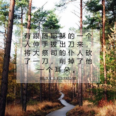 Picture 07 - 马 太 福 音 26:51 CUVS - 有 跟 随 耶 稣 的 一 个 人 伸 手 拔 - Bible Verse Picture
