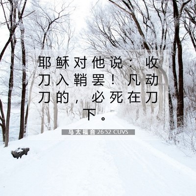 Picture 07 - 马 太 福 音 26:52 CUVS - 耶 稣 对 他 说 ： 收 刀 入 鞘 罢 ！ - Bible Verse Picture