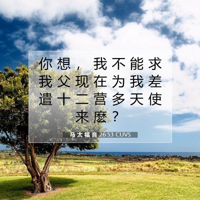 Picture 07 - 马 太 福 音 26:53 CUVS - 你 想 ， 我 不 能 求 我 父 现 在 为 - Bible Verse Picture