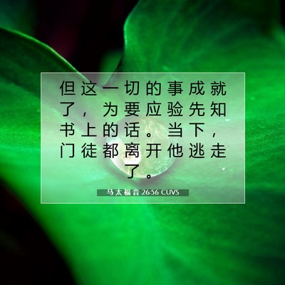 Picture 07 - 马 太 福 音 26:56 CUVS - 但 这 一 切 的 事 成 就 了 ， 为 要 - Bible Verse Picture