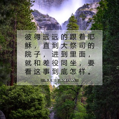 Picture 07 - 马 太 福 音 26:58 CUVS - 彼 得 远 远 的 跟 着 耶 稣 ， 直 到 - Bible Verse Picture