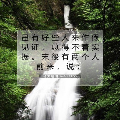 Picture 07 - 马 太 福 音 26:60 CUVS - 虽 有 好 些 人 来 作 假 见 证 ， 总 - Bible Verse Picture