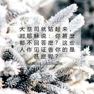 Picture 07 - 马 太 福 音 26:62 CUVS - 大 祭 司 就 站 起 来 ， 对 耶 稣 说 - Bible Verse Picture