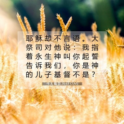 Picture 07 - 马 太 福 音 26:63 CUVS - 耶 稣 却 不 言 语 。 大 祭 司 对 他 - Bible Verse Picture