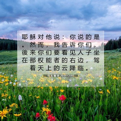 Picture 07 - 马 太 福 音 26:64 CUVS - 耶 稣 对 他 说 ： 你 说 的 是 。 然 - Bible Verse Picture