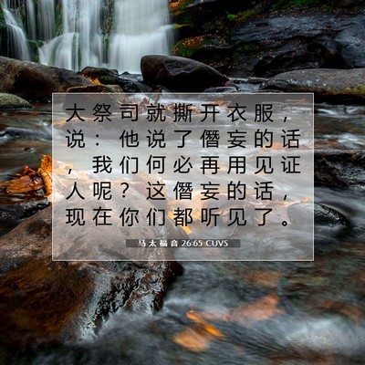 Picture 07 - 马 太 福 音 26:65 CUVS - 大 祭 司 就 撕 开 衣 服 ， 说 ： 他 - Bible Verse Picture