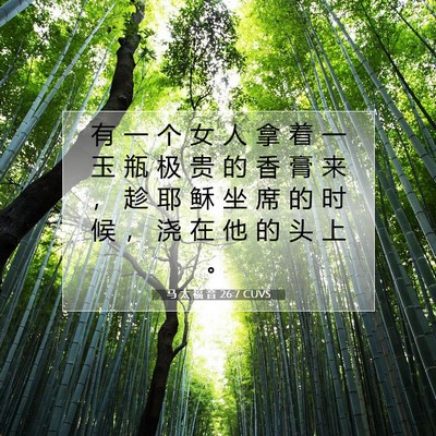 Picture 07 - 马 太 福 音 26:7 CUVS - 有 一 个 女 人 拿 着 一 玉 瓶 极 贵 - Bible Verse Picture