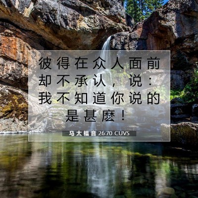 Picture 07 - 马 太 福 音 26:70 CUVS - 彼 得 在 众 人 面 前 却 不 承 认 ， - Bible Verse Picture