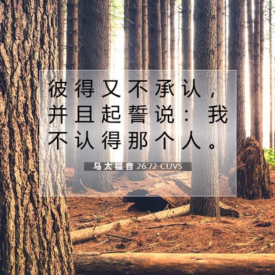 Picture 07 - 马 太 福 音 26:72 CUVS - 彼 得 又 不 承 认 ， 并 且 起 誓 说 - Bible Verse Picture