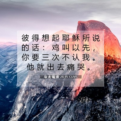 Picture 07 - 马 太 福 音 26:75 CUVS - 彼 得 想 起 耶 稣 所 说 的 话 ： 鸡 - Bible Verse Picture