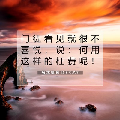Picture 07 - 马 太 福 音 26:8 CUVS - 门 徒 看 见 就 很 不 喜 悦 ， 说 ： - Bible Verse Picture