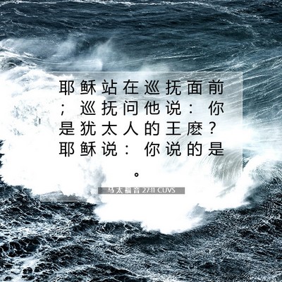 Picture 07 - 马 太 福 音 27:11 CUVS - 耶 稣 站 在 巡 抚 面 前 ； 巡 抚 问 - Bible Verse Picture