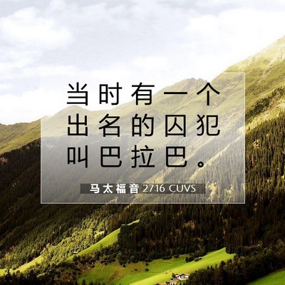 Picture 07 - 马 太 福 音 27:16 CUVS - 当 时 有 一 个 出 名 的 囚 犯 叫 巴 - Bible Verse Picture