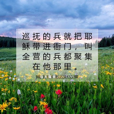 Picture 07 - 马 太 福 音 27:27 CUVS - 巡 抚 的 兵 就 把 耶 稣 带 进 衙 门 - Bible Verse Picture