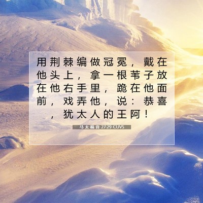 Picture 07 - 马 太 福 音 27:29 CUVS - 用 荆 棘 编 做 冠 冕 ， 戴 在 他 头 - Bible Verse Picture