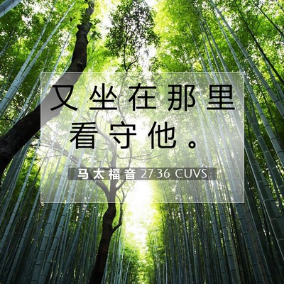 Picture 07 - 马 太 福 音 27:36 CUVS - 又 坐 在 那 里 看 守 他 - Bible Verse Picture