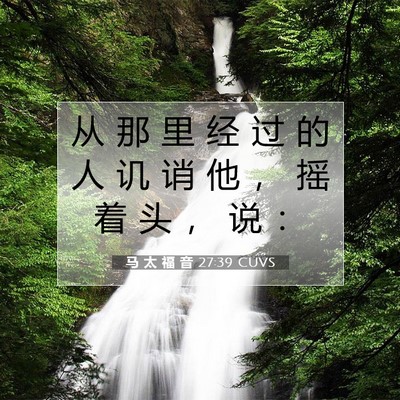 Picture 07 - 马 太 福 音 27:39 CUVS - 从 那 里 经 过 的 人 讥 诮 他 ， 摇 - Bible Verse Picture