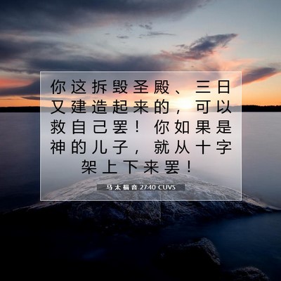 Picture 07 - 马 太 福 音 27:40 CUVS - 你 这 拆 毁 圣 殿 、 三 日 又 建 造 - Bible Verse Picture