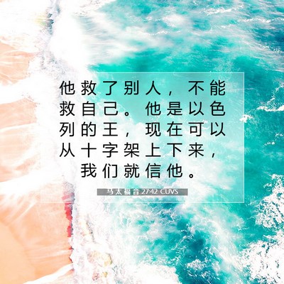 Picture 07 - 马 太 福 音 27:42 CUVS - 他 救 了 别 人 ， 不 能 救 自 己 。 - Bible Verse Picture