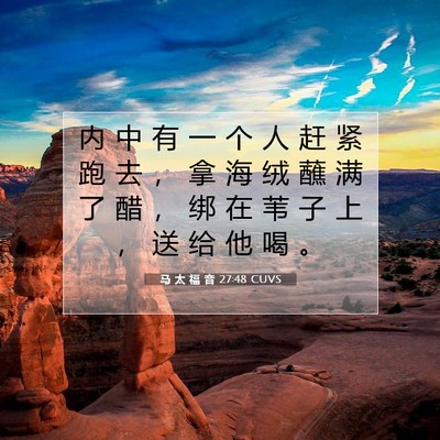 Picture 07 - 马 太 福 音 27:48 CUVS - 内 中 有 一 个 人 赶 紧 跑 去 ， 拿 - Bible Verse Picture