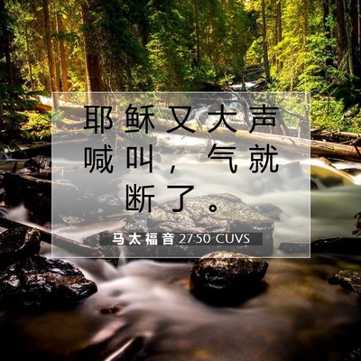 Picture 07 - 马 太 福 音 27:50 CUVS - 耶 稣 又 大 声 喊 叫 ， 气 就 断 了 - Bible Verse Picture